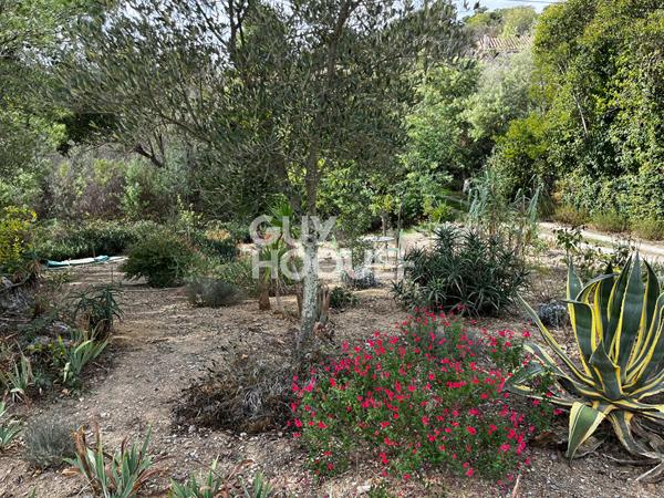 CERET : maison F8 (192 m²) à vendre