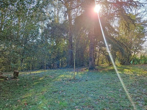 Maison ancienne à vendre 8 pièces CONDOM (32)