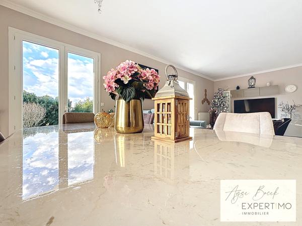 Romans-sur-Isère (26100) Propriété de charme aux multiples possibilités – 10 pièces - 240 m² habitables – Terrain divisible 3 596 m²