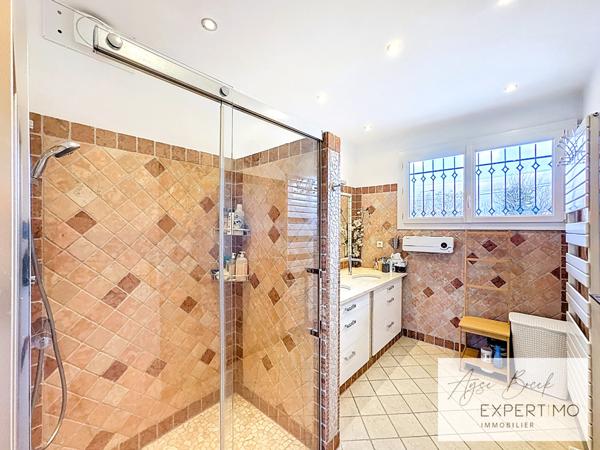 Romans-sur-Isère (26100) Propriété de charme aux multiples possibilités – 10 pièces - 240 m² habitables – Terrain divisible 3 596 m²