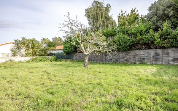 Terrain à vendre    Saint-Augustin