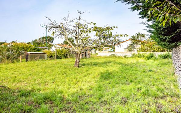 Terrain à vendre    Saint-Augustin