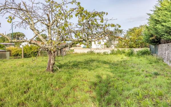 Terrain à vendre    Saint-Augustin