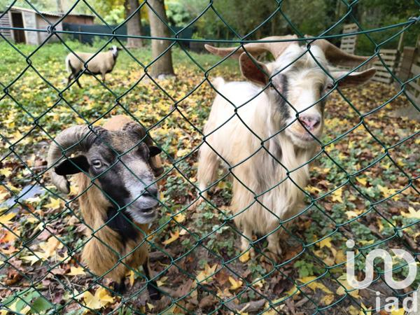 Maison à vendre 7 pièces 188 m² Sainte-Mesme