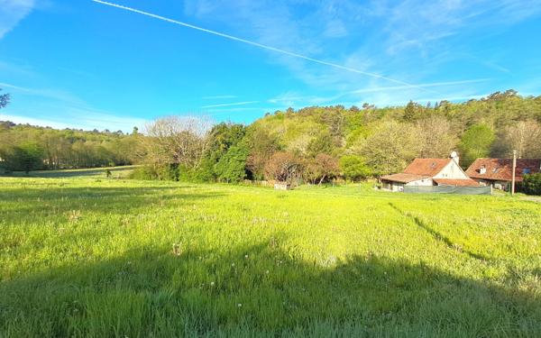 Terrain à vendre    Campsegret