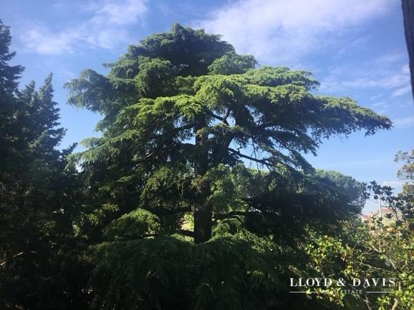 MAISON HAUSSMANNIENE A VENDRE