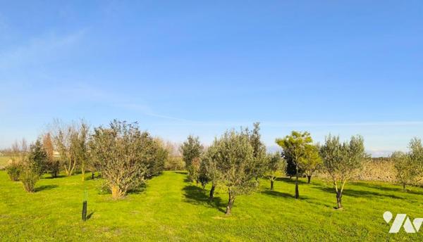 Aux portes de la Rochelle, splendide et lumineux pavillon d'architecte.
