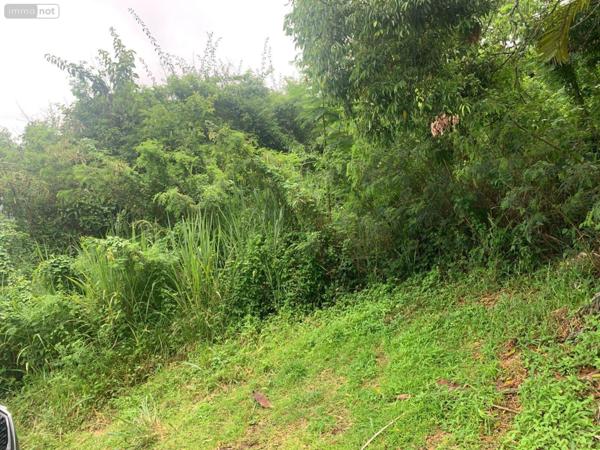 Terrain à Batir à vendre à Bois-de-Nefles-St-Paul à la Réunion (97411), ref : 97405/268   
Bois de Nèfles