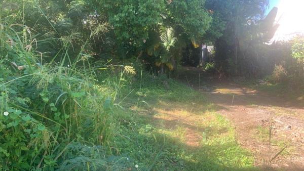 Terrain à Batir à vendre à Bois-de-Nefles-St-Paul à la Réunion (97411), ref : 97405/268   
Bois de Nèfles