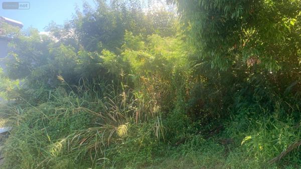 Terrain à Batir à vendre à Bois-de-Nefles-St-Paul à la Réunion (97411), ref : 97405/268   
Bois de Nèfles