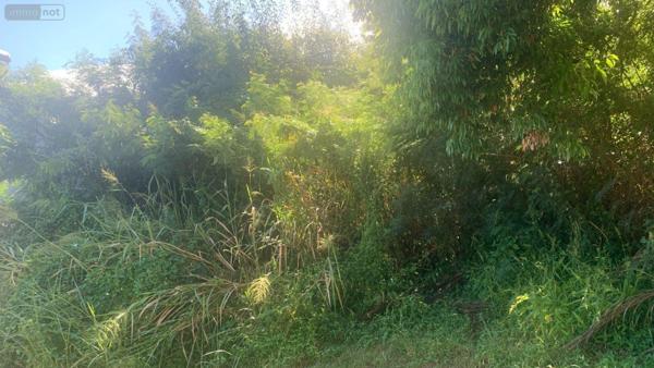 Terrain à Batir à vendre à Bois-de-Nefles-St-Paul à la Réunion (97411), ref : 97405/268   
Bois de Nèfles