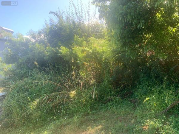 Terrain à Batir à vendre à Bois-de-Nefles-St-Paul à la Réunion (97411), ref : 97405/268   
Bois de Nèfles