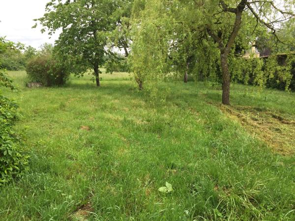 Étaule (89200) Secteur VASSY ETAULES Maison à louer avec jardin 560 € sans charges.