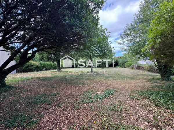 Un terrain constructible et borné