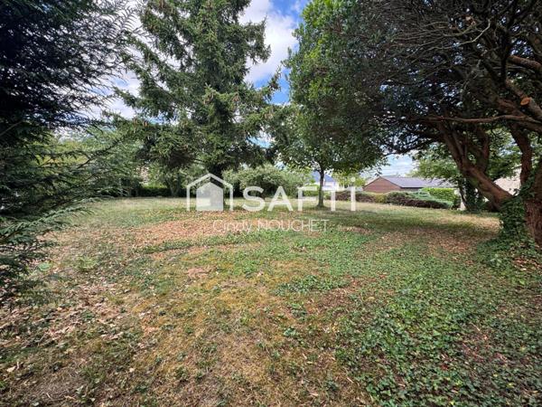 Un terrain constructible et borné