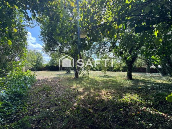 Un terrain constructible et borné