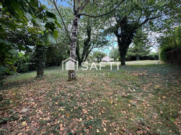 Un terrain constructible et borné