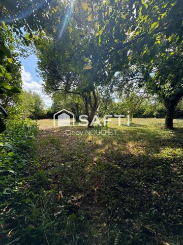 Un terrain constructible et borné