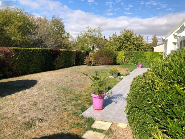 Achat - Maison | Pavillon Issoudun 36100 5 pièces 156 m 2 1527 m 2