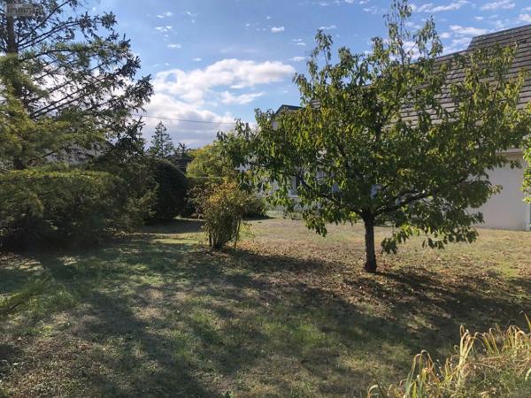 Achat - Maison | Pavillon Issoudun 36100 5 pièces 156 m 2 1527 m 2