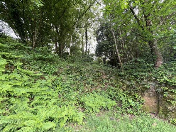 Terrain à vendre 34 250 € Landerneau 302 m² DPE