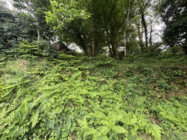 Terrain à vendre 34 250 € Landerneau 302 m² DPE