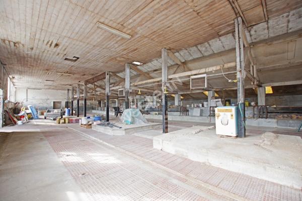 Propriété à vendre à proximité de Médis sur 7800 m² face à la campagne et à 15 mn de ROYAN.