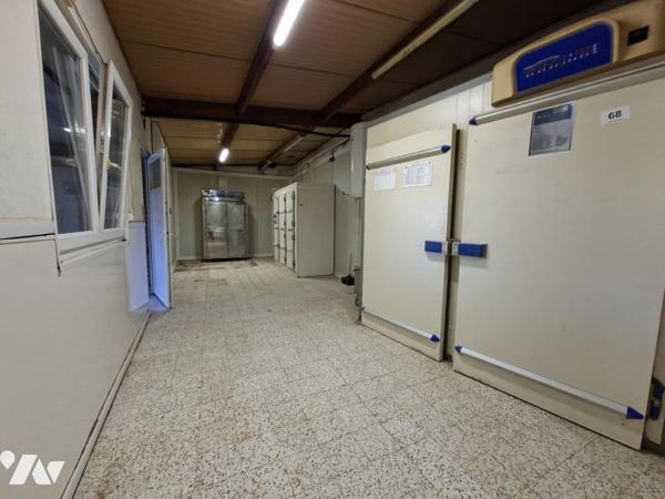 local comercial, atelier + appartement + jardin