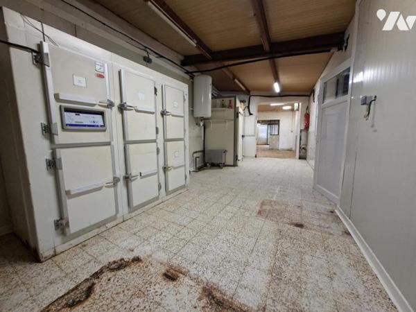 local comercial, atelier + appartement + jardin