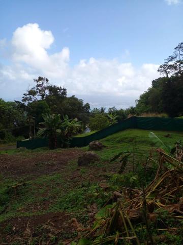 Vente Terrain 514 m2 à Les Anses-d'Arlet