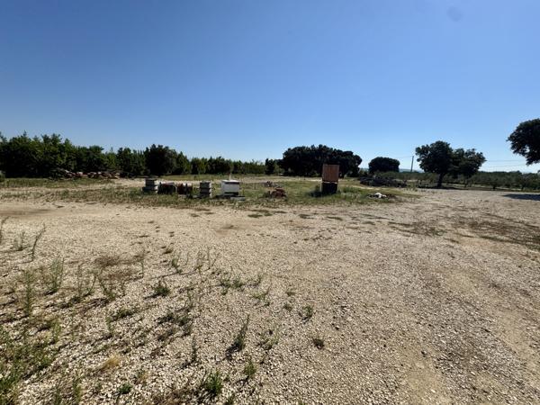 Charmante propriété en pleine nature, proche sainte-Cécile les vignes Sainte-Cécile-les-Vignes (84290)