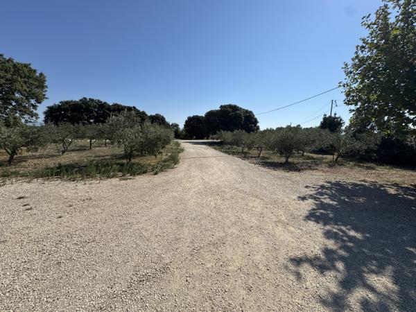 Charmante propriété en pleine nature, proche sainte-Cécile les vignes Sainte-Cécile-les-Vignes (84290)