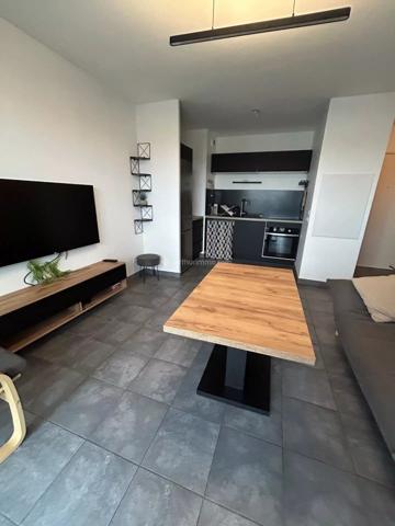 Location Appartement 2 pièces 38 m2 à Villeurbanne