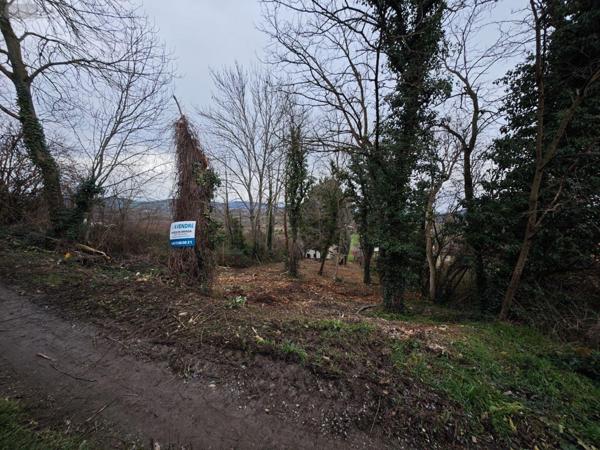 Terrain à Batir à vendre à Moissat dans le Puy-de-Dôme (63190), ref : 13372/289