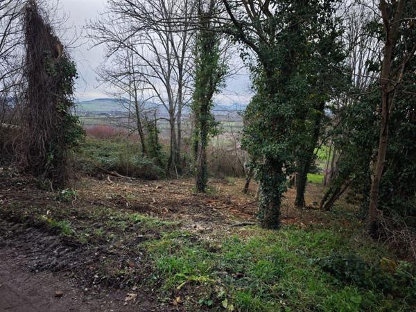 Terrain à Batir à vendre à Moissat dans le Puy-de-Dôme (63190), ref : 13372/289