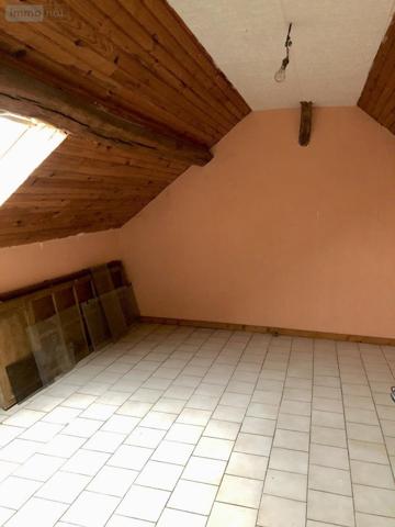 Maison à vendre à Louailles dans la Sarthe (72300), ref : 72068-1677