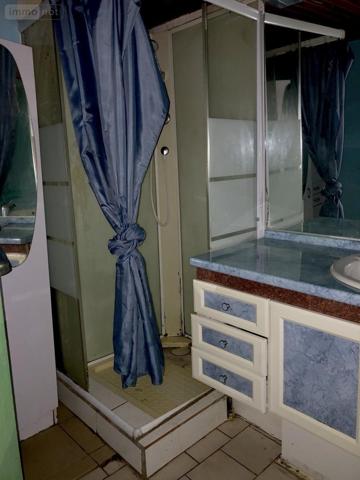 Maison à vendre à Louailles dans la Sarthe (72300), ref : 72068-1677