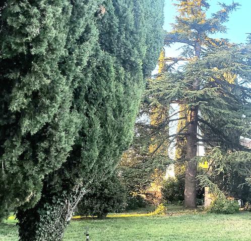 Saint-Aunès (34130) OPPORTUNITE, Mas de 1200m2 env, sur 3 ha à 15 mn des plages