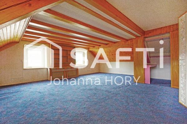 Ensemble Immobilier à Fort Potentiel, Locaux Professionnels 323 m2, Terrain constructible 15 ares