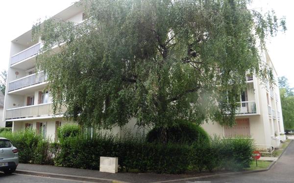 Appartement à louer    1 pièce •  Cosne-Cours-sur-Loire