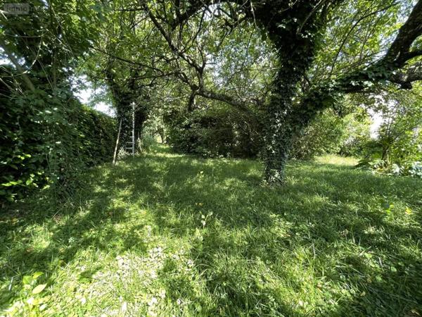 Terrain à Batir à vendre à Louvigné-de-Bais en Ille-et-Vilaine (35680), ref : 118/918