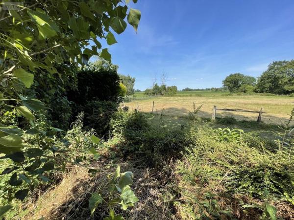 Terrain à Batir à vendre à Louvigné-de-Bais en Ille-et-Vilaine (35680), ref : 118/918