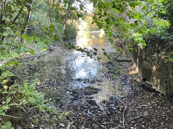 Grange a rénover proche plan d'eau