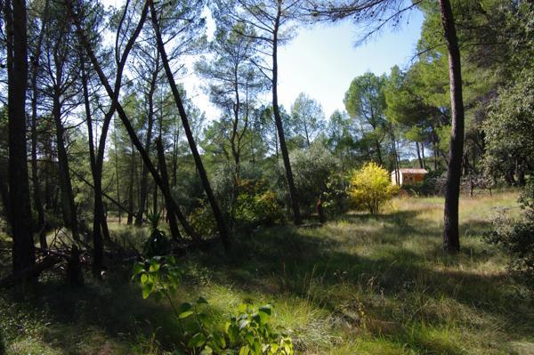 Immobilier Villecroze (83690) – Maison 132.4m2 – 399 000 €