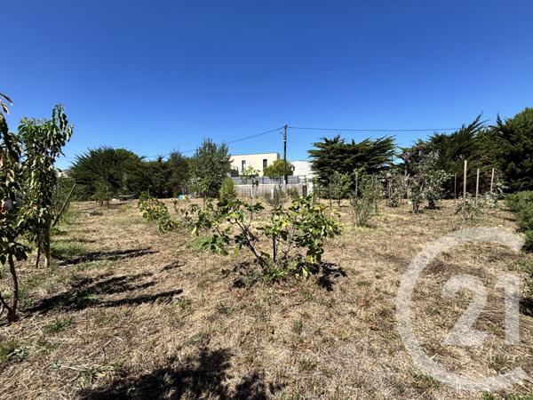 Terrain à vendre  710 m2 MARSEILLAN - 34
