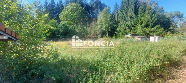 À vendre Maison 6 pièces 160 m² - Xonrupt-longemer 88400