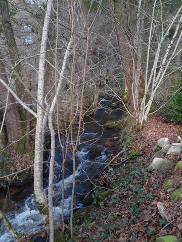 MAISON EN PIERRE AVEC TERRAIN BOISE BORDE D UN RUISSEAU