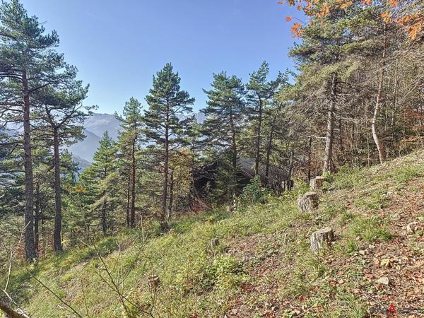 Terrain à CHATEAU-BERNARD, 38650 - 670m²