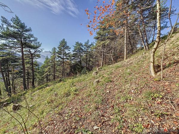 Terrain à CHATEAU-BERNARD, 38650 - 670m²