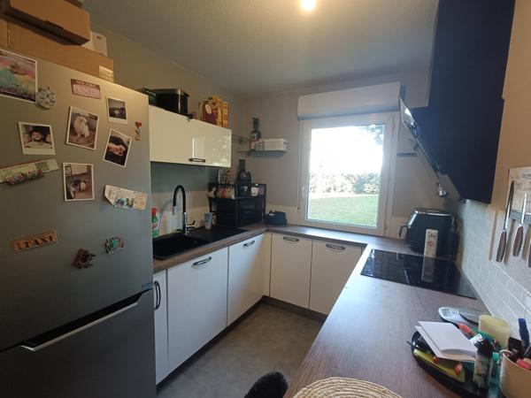 Appartement 2 pièces - 53 m² Exclusivité efficity